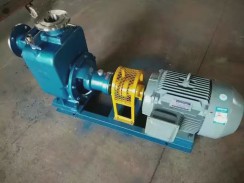 河(hé)南不鏽鋼自(zi)吸泵