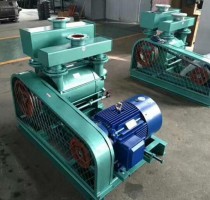 河南(nan)2BE水環真空泵