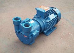 河南2BV水環式(shi)真空泵