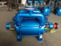 河南SK水環真空(kōng)泵