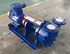 河南水環真空(kōng)泵