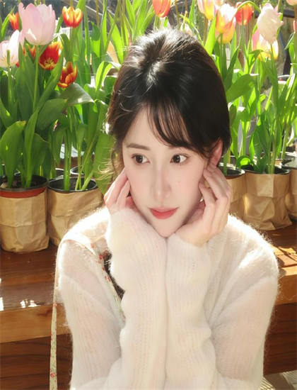 划时代的《保罗好莱坞的欧陆公路之旅》适合什么人观看？目标观众群体分析